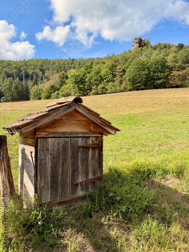 Kleine Holzhütte auf der Wiese.
