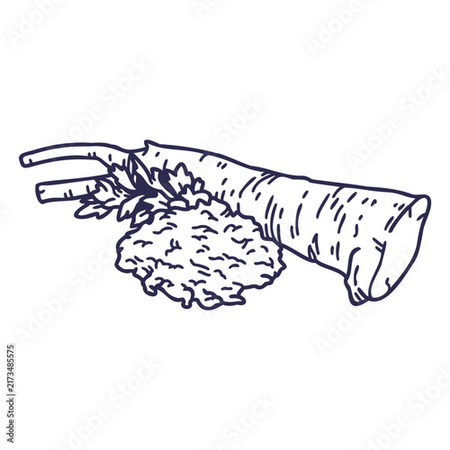 Foto Simple stroke horseradish root