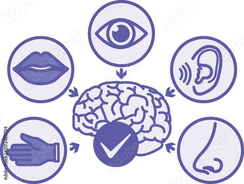 Purple Sensory Friendly Icon. Vector Illustration. Adapted for People with Touch Sensitivities. Brain with Check Mark, Nose, Ear, Eye, Mouth, and Hand. Accessibility Concept