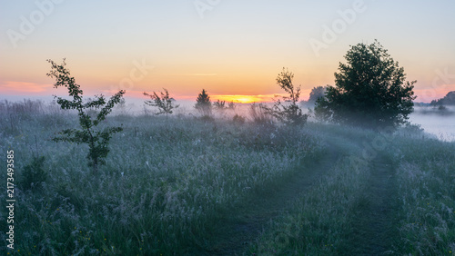 Bild auf Leinwand This blurred landscape image depicts a misty path winding through a grassy field