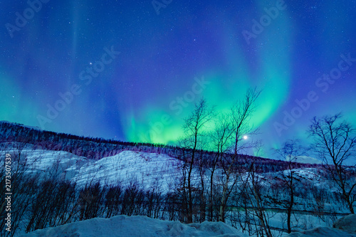 Bild auf Leinwand Aurora Borealis with Moon Over Snow-Covered Hills and Bare Birch Trees, Alta, Fi