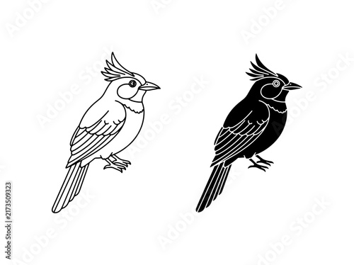 фотографія Cardinal Bird Vector Icons, Silhouette and Outline, Nature Wildlife Graphics