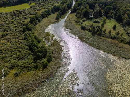 Aerial View of Winding River with Sunlit Water Through Green Forest Wetland
