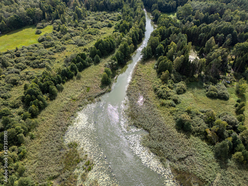 Aerial View of Winding River Through Green Forest and Wetland