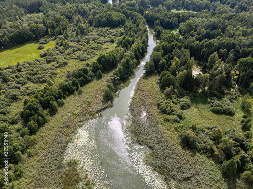 Aerial View of Winding River Through Dense Green Forest and Wetlands
