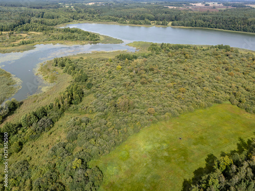 Aerial View of Lake, Wetlands and Green Forest in Rural Landscape