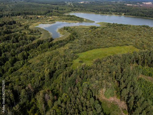 Aerial View of Forest Lake and Wetland Landscape in Summer