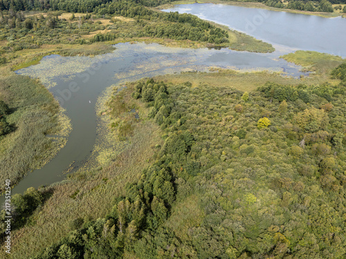 Aerial View of Wetland River Delta Meeting Forested Lakeshore