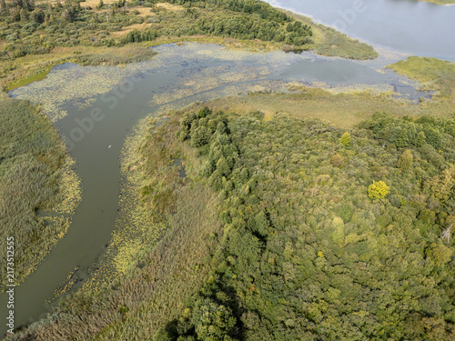 Aerial View of Winding River with Lily Pads Through Green Wetland Forest