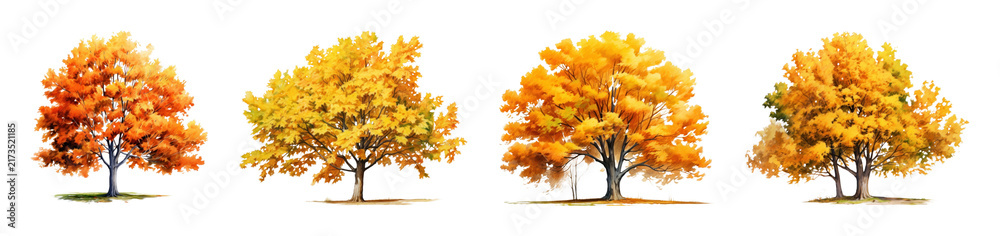 Obraz premium PNG Vibrant autumn trees with colorful foliage, transparent background