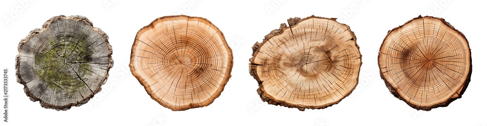 Fototapeta premium PNG Wood log cross sections isolated on transparent background