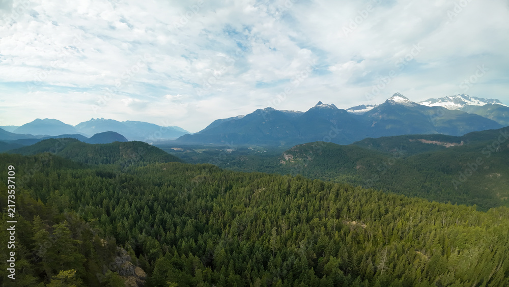 Fototapeta premium An aerial wide shot sweeps over a vast green forest landscape of rolling hills and deep valleys beneath distant majestic snow capped mountain peaks under clouds.