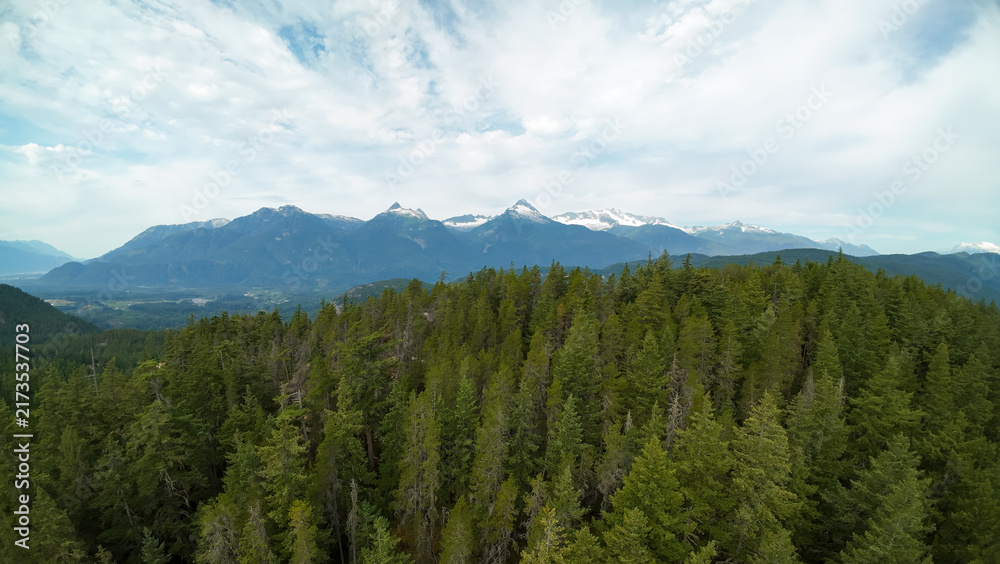 Obraz premium An aerial wide shot looks across an endless dense pine forest canopy toward the massive snow capped mountain peaks of the Mount Tantalus range under white clouds.