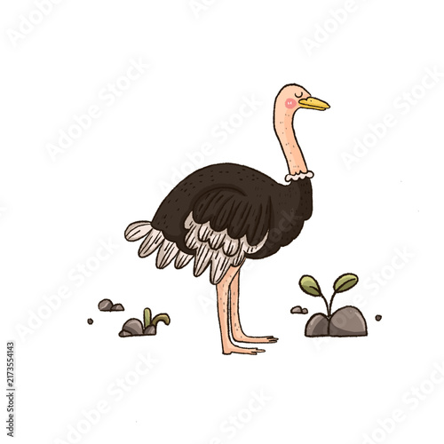 Obraz na płótnie Hand-drawn digital illustration of a cute ostrich bird standing gracefully, PNG with transparent background