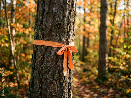 National Day for Truth and Reconciliation Canada – Orange Shirt Remembrance and Reconciliation