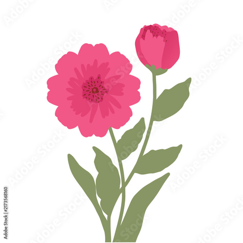 Elegant Pink Flower Illustration, Detailed Bloom and Bud with Green Leaves for Botanical Art, Stickers and Decorative Design.