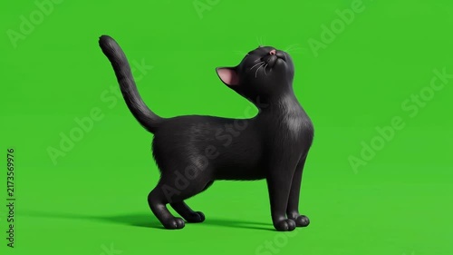 3D Animated Black Cat Looking Around on Green Screen Background.