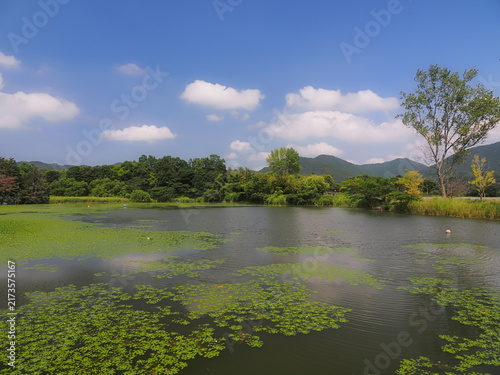 Canvastavla 青空と白い雲が広がる緑豊かな池の風景