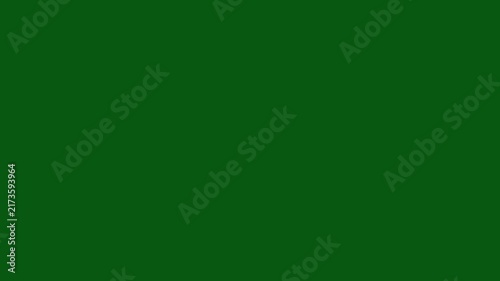 Glitter magical star sparkle animation dust particles,luminous fairy trail motion,elegant shimmer streak,green background professional asset,luxury festive motion, 4k sparkle