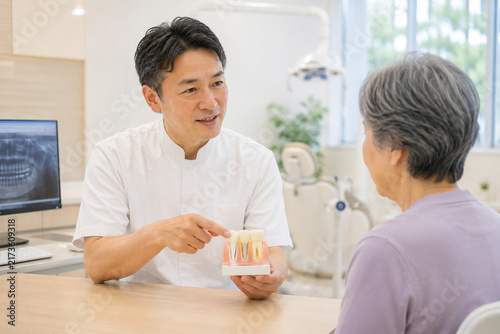 Naklejka 歯科医が模型でインプラント・入れ歯の説明する診察風景