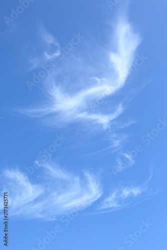 Late summer blue sky showing the transition of seasons / 晩夏の青空、季節の移り変わりを感じる空