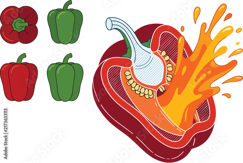 Set of red and green bell peppers with a cross section splash illustration