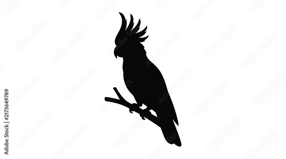 Fototapeta premium Cockatoo perched on a branch is depicted as a black silhouette parrot