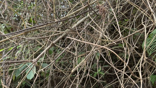 Quadro su tela Environmental Complexity and Intertwined Structural Network Concept