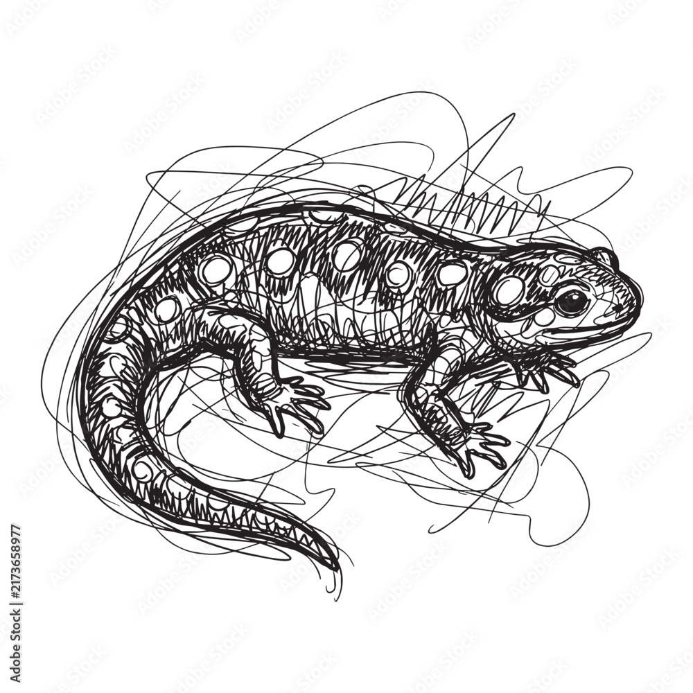 Fototapeta premium Abstract gestural scribble sketch of a spotted salamander, expressive hand drawn reptile illustration on white background