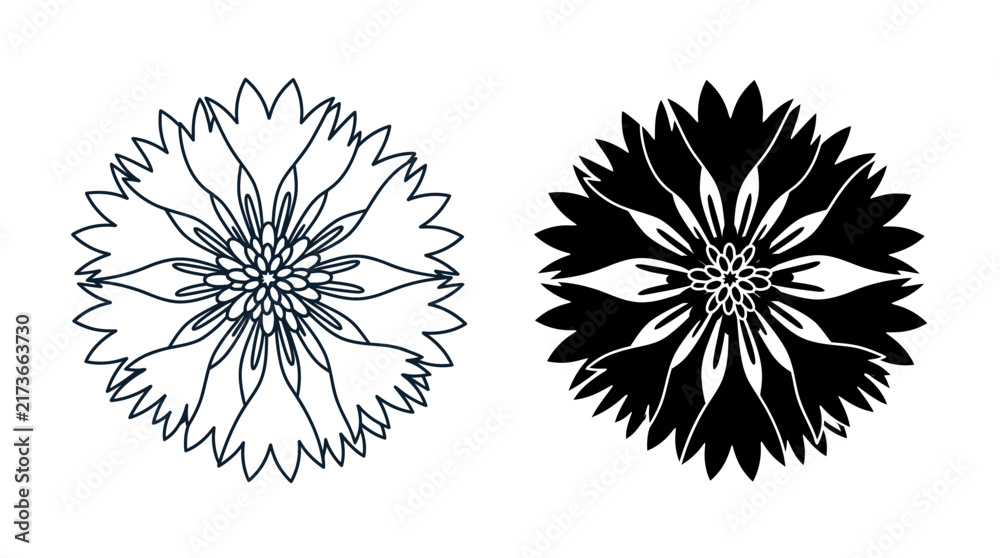 Obraz premium Two stylised floral cornflower icons presented as a simple line art and silhouette