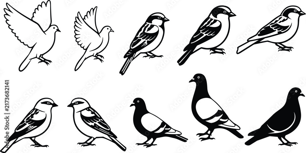 Fototapeta premium Bird Silhouette Collection Featuring Flying Birds, Sparrows, Pigeons and Perching Birds for Nature Wildlife Design Projects