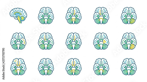 Colorful brain icons in flat design style.