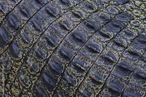 Crocodile skin grey color leather texture background.