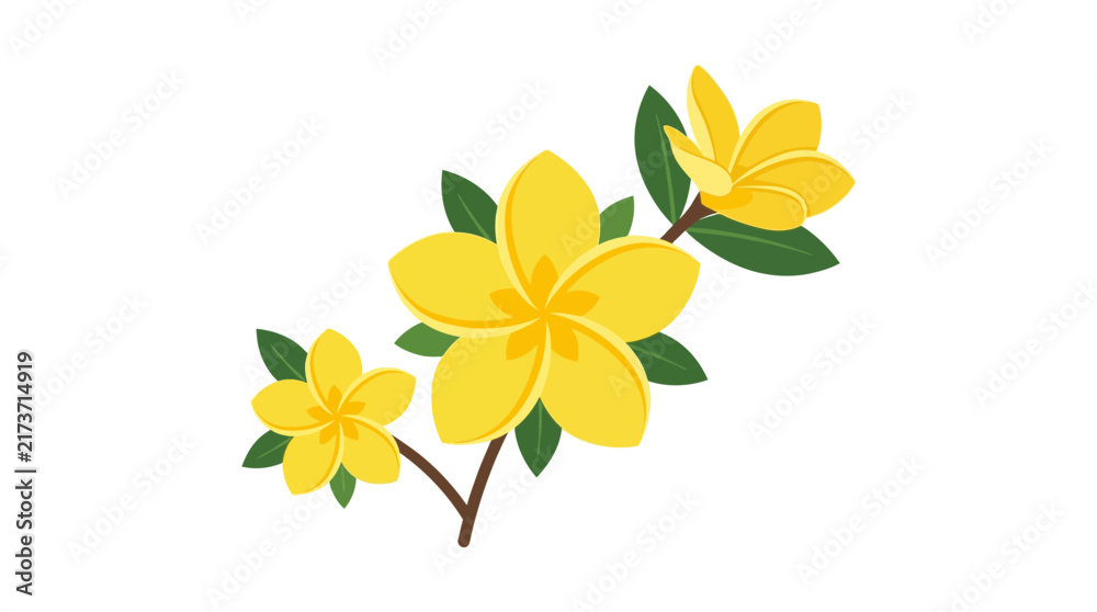 Fototapeta premium Yellow Plumeria Flower Branch Vector Illustration