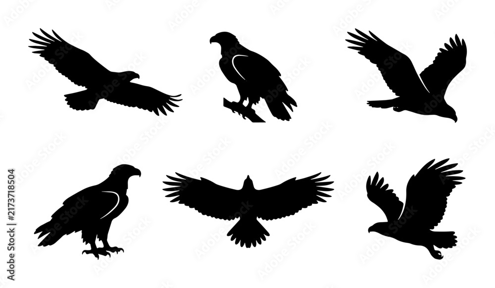 Obraz premium Eagle Silhouettes Set, Majestic Bird Icons, Raptor Vector Graphics, Wildlife Collection