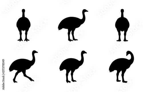 Emu Silhouettes: Front, Side, and Back Views, Vector Graphics for Wildlife and Nature Designs