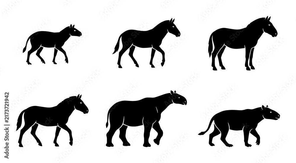 Obraz premium Evolution of Horse Silhouette, Equine Ancestors Vector Set, Prehistoric Mammal Icons