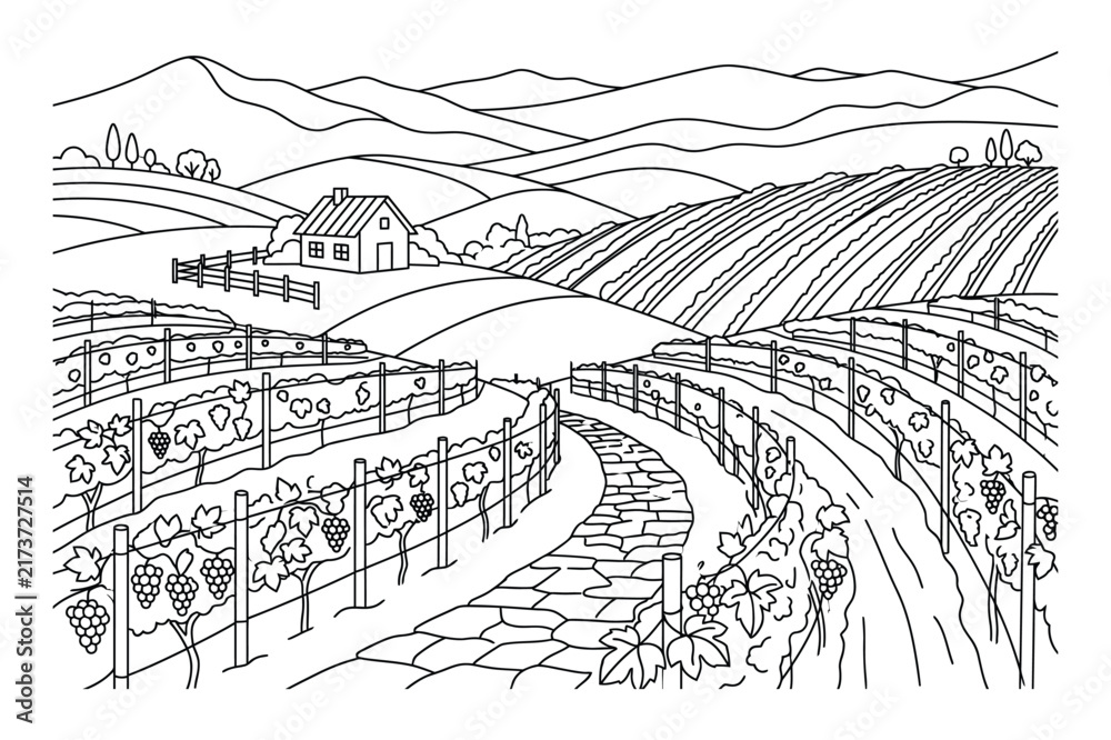 Fototapeta premium Agricultural vineyard landscape with rolling hills and a farmhouse in background