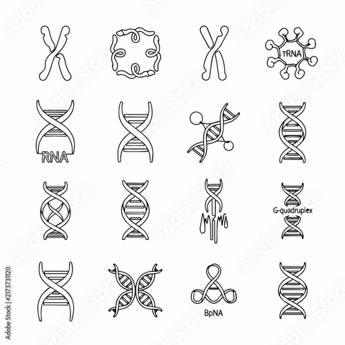 Foto Diverse nucleic acid structures and configurations illustrated