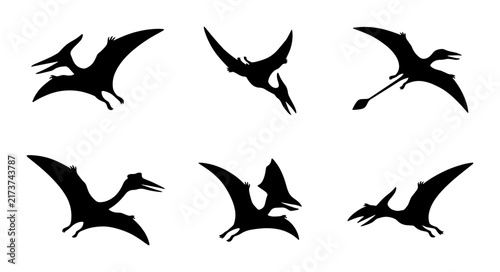 Bild auf Leinwand Pterodactyl Silhouettes, Flying Dinosaur Icons, Prehistoric Reptile Vector Set,