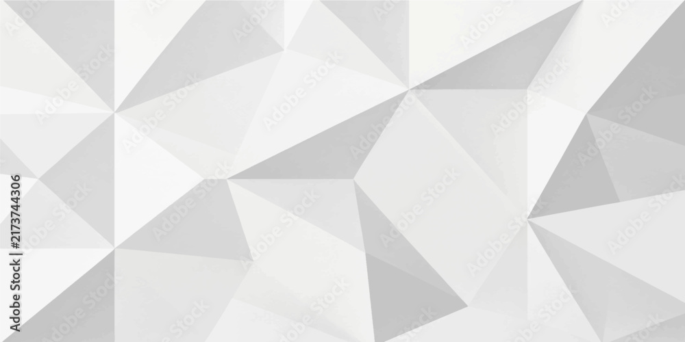 Fototapeta premium White low poly abstract polygonal geometric background vector pattern design template