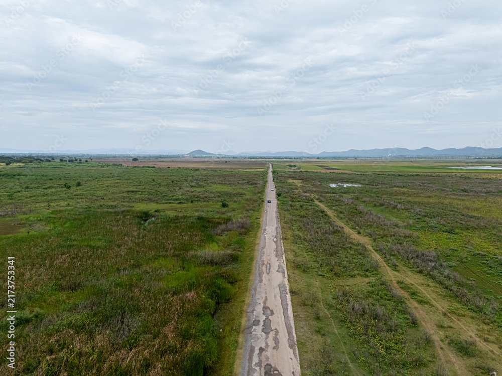 Naklejka premium Aerial View of Rural Road Through Green Wetland Landscape
