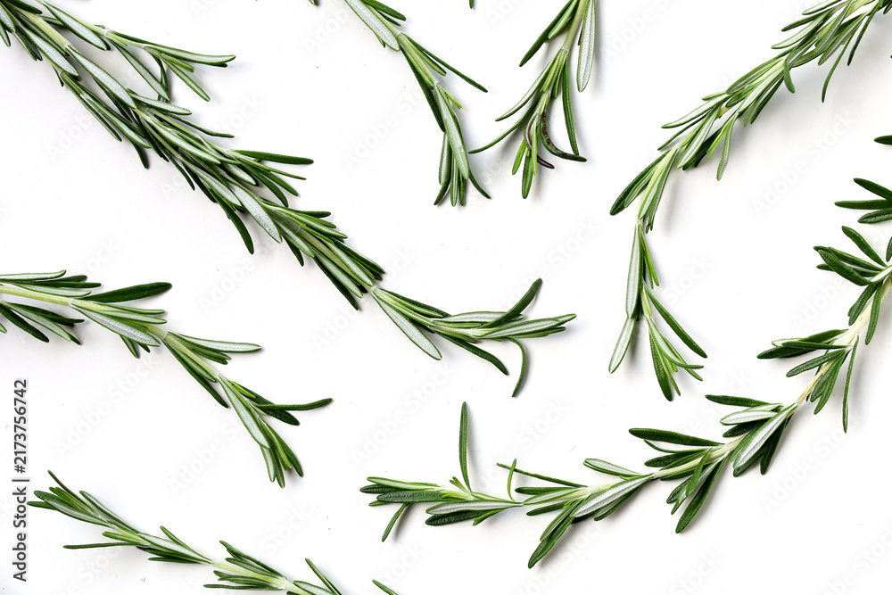 Fototapeta premium Fresh rosemary on a white background