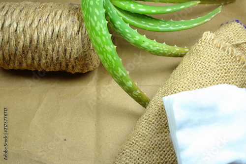 Green Aloe Vera Plant Leaves with Cotton Pad, Jute Twine and Burlap Cloth on Crumpled Craft Paper