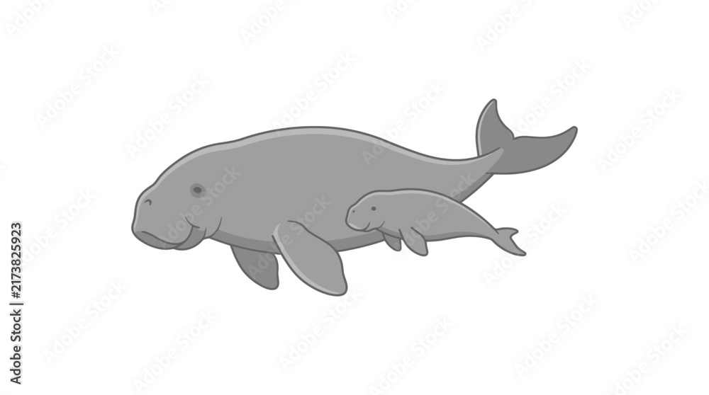 Fototapeta premium Dugong and Calf Illustration Isolated