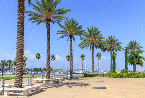 Quadro su tela Bay with yachts in St. Petersburg, Florida, USA