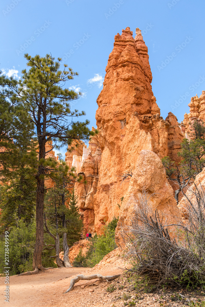 Naklejka premium Bryce canyon