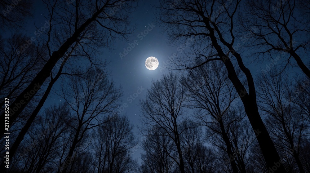 Obraz premium Bare tree branches form silhouettes against a dark night sky with a bright full moon and scattered stars. The low angle view looks up into the peaceful forest canopy creating a mystical scene.