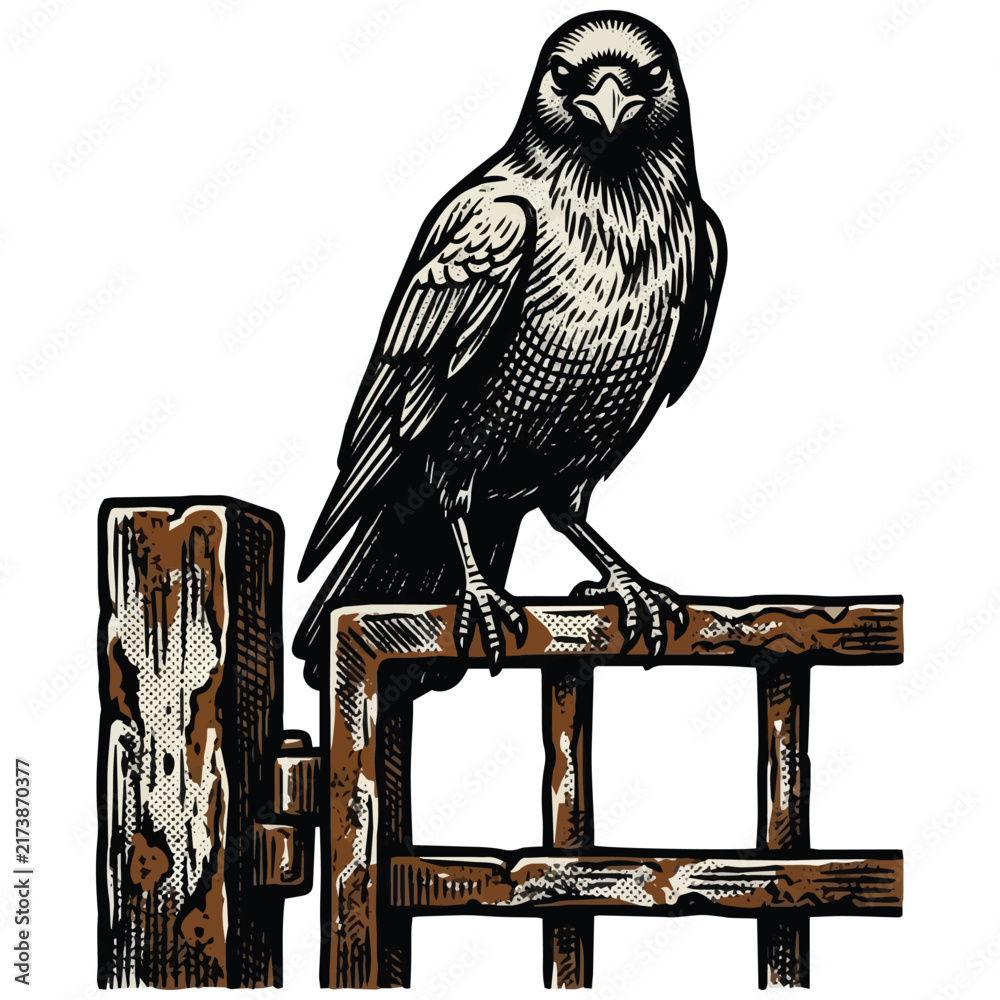 Naklejka premium A detailed engraving illustration of a black crow perched on an old wooden fence gate