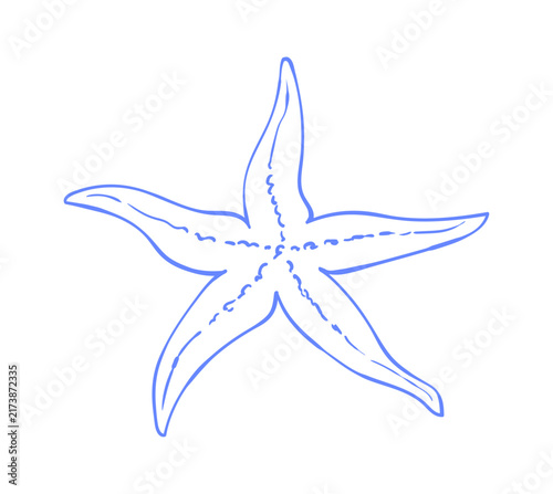 Elegant starfish sketch element with marine line art. Isolated aquatic sea icon for coastal beach summer vacation and mediterranean ocean design.